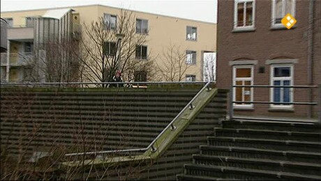 De Buitendienst  | Bomen